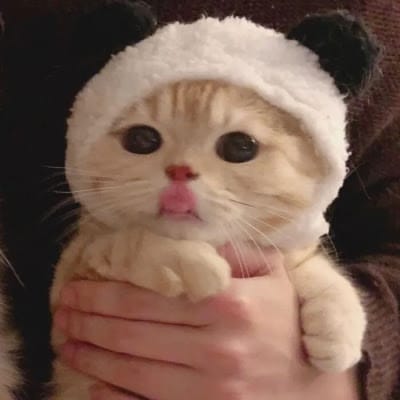 Sinta Bella avatar